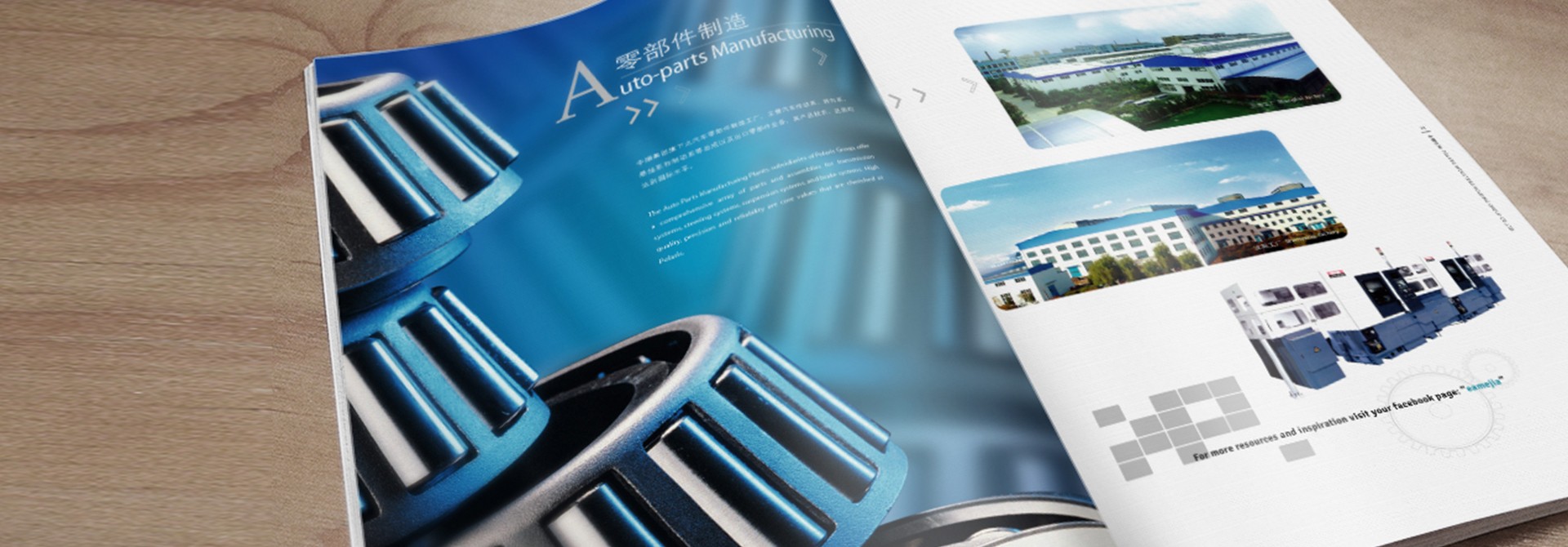 平面設(shè)計(jì)，畫冊設(shè)計(jì)，品牌設(shè)計(jì)，品牌策劃