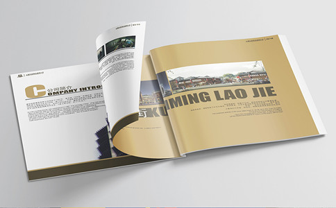 品牌設(shè)計(jì)公司，畫冊(cè)設(shè)計(jì)，vi設(shè)計(jì)，logo設(shè)計(jì)，廣告設(shè)計(jì)，平面設(shè)計(jì)